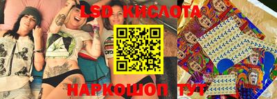 ПСИЛОЦИБИНОВЫЕ ГРИБЫ Кингисепп