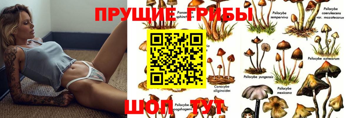 Керчь  Псилоцибиновые грибы прущие грибы  Вход с VPN 